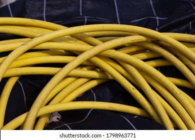 Yellow Tangled Up Water Hose