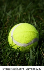 Yellow Tennis Ball On The Grass Outdoors Close-up. Sports Gear For Tennis