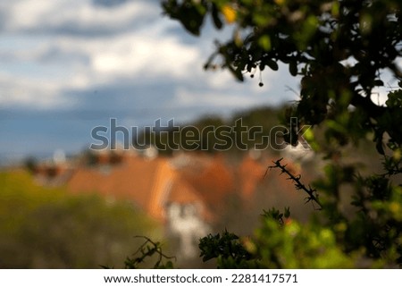 yellow tiled roofs in the blurred background