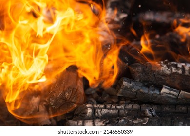 Yellow tongues of flame are dancing on wooden logs