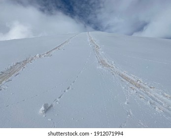 Yellow Tracks Of The Sand Blown Up From Sahara Desert On The Snow In Mountains, Alps, Aosta Valley, Italy.