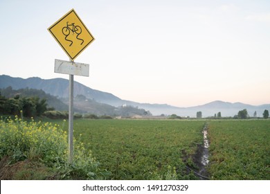 
Yellow traffic curves sign for cyclists next to a green organic sown field with mountains and clouds in the background early in the morning.
