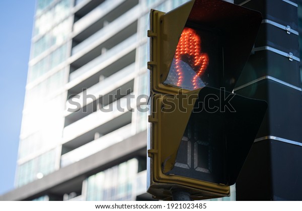 Yellow Traffic Light in on a sunny in\
front of Condominium in Toronto Ontario\
Canada