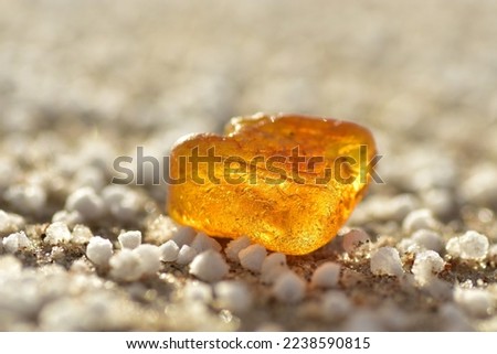 Similar – Amber at the Baltic Sea beach