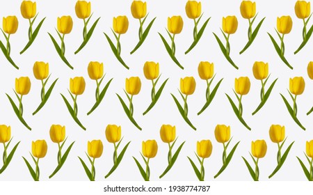 黄色い花 の画像 写真素材 ベクター画像 Shutterstock