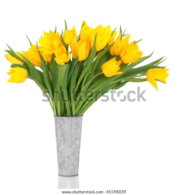 Yellow Tulip Flowers Aluminum Vase Over Nature Holidays Stock Image