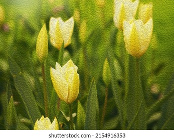 Yellow Tulips Nature Photo With Oil Paint Effect. Beautiful Tulip Flowers Abstract Artwork.