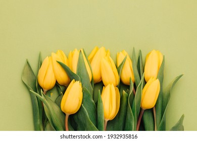 Yellow tulips on a green background. Spring flowers. Tulips from Holland. Sell tulips. Spring mood	