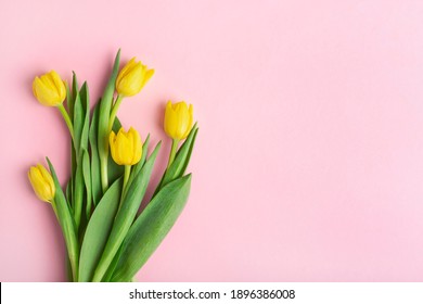 yellow tulips on a pink background, top view, spring bouquet