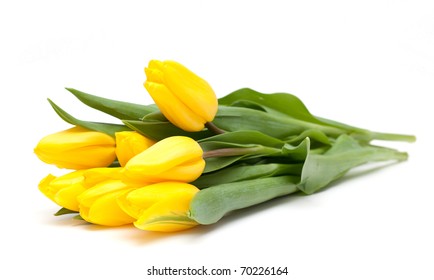 Yellow Tulips On White