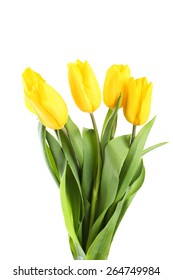 Yellow Tulips On White Background