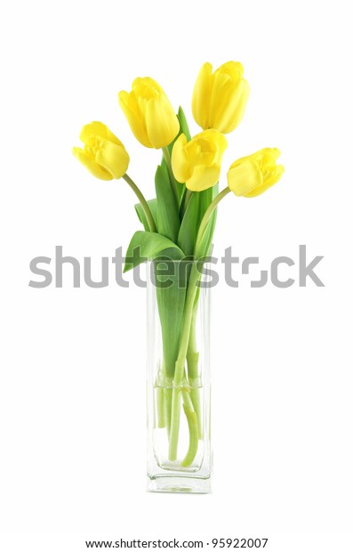 Yellow Tulips Square Glass Vase On Stock Photo Edit Now 95922007