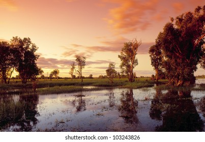 Yellow water, Kakadu