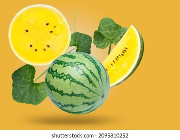 Yellow Watermelon with leaves falling in the air isolated on  yellow background, Yellow Watermelon on yellow background With clipping path.