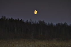 Yellow Waxing Gibbous Moon Rising Over Forest And Grasslands. Natural Background.