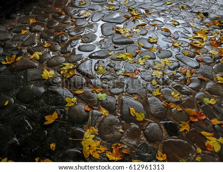 Similar – Image, Stock Photo autumn of spectators