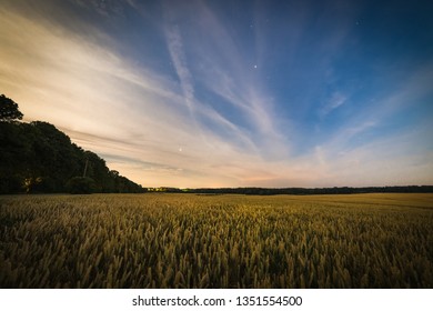 Yellow Wheat Field At Bright Cloudy Night.