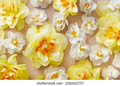 Yellow and whit flowers pattern on a yellow background viewed from above. Top view - Shutterstock ID 2182422757
