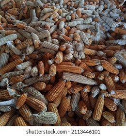 Yellow And White Corn Husk Texture.jpg