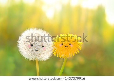 yellow and white fluffy dandelions on green blurred natural background. two dandelions  with funny Friendly faces, cute kawaii style. summer season. symbol of love, friendship, happines, different.