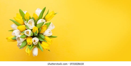 Yellow and white tulip flowers bouquet in front of yellow background. Top view flat lay. With copy space