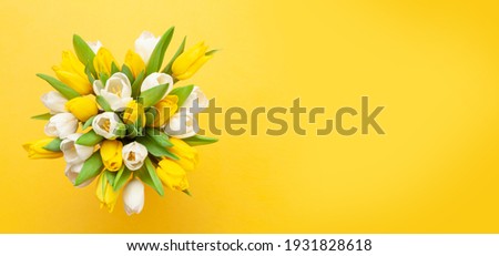 Yellow and white tulip flowers bouquet in front of yellow background. Top view flat lay. With copy space