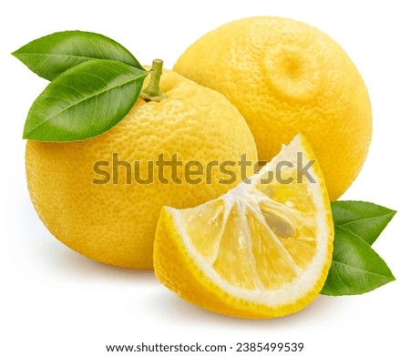 Image, Stock Photo Dressing up the garden for spring