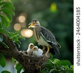 A Yellow-crowned Night Heron in its nest, perched alongside two yellow-crowned chicks. The scene is set against a beautifully blurred natural background, highlighting the birds