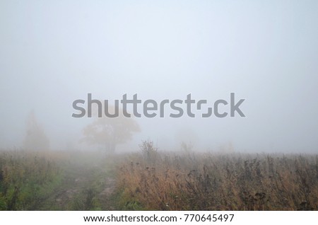 Similar – Image, Stock Photo Misty November Environment