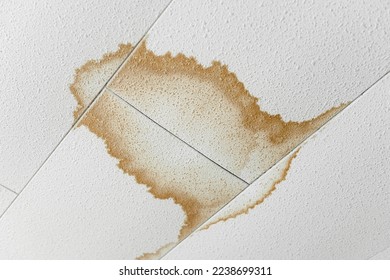 Yellowed stains on the ceiling. - Shutterstock ID 2238699311