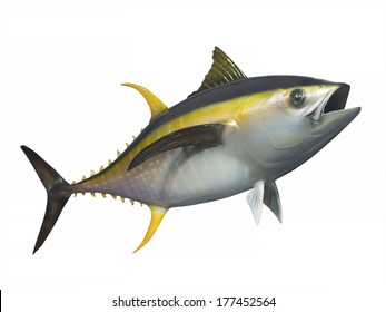 Yellowfin Tuna In Fast Motion, Isolated