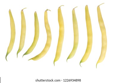 16,605 Yellow Bean Pods Images, Stock Photos & Vectors 