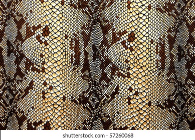 Colored Snake Skin Seamless Pattern Wallpaper Stock Vector (Royalty ...