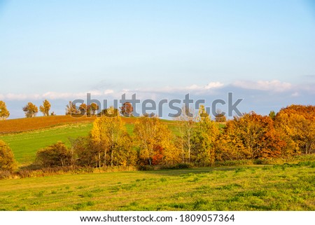 Yellow-leaved trees and autumn upland fields
