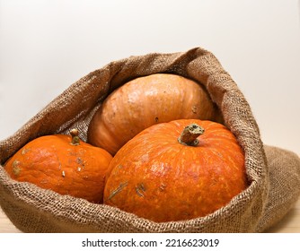 Yellow-orange Pumpkins Inside Burlap On White Background, Halloween Concept And Autumn Pumpkin Harvest, Farm Product. Horizontal, Side View, Close-up, Top Copy Space, Shallow Depth Of Field