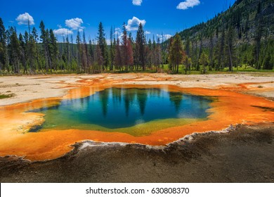 Yellowstone