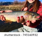 Yellowstone Cutthroat trout on Soda Butte