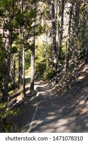 Yellowstone Hiking Trail In Summer