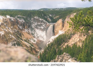 Yellowstone Lower Falls Wide Shot