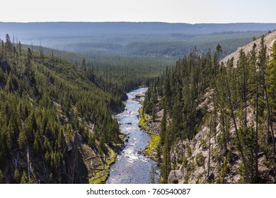 Yellowstone National Park, Teton County, Wyoming, United States. The Gibbon River.