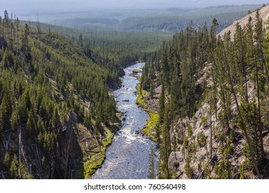 Yellowstone National Park, Teton County, Wyoming, United States. The Gibbon River.