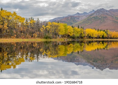 Yellowstone National Park In Usa