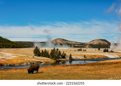 Yellowstone National Park, USA, Bison, buffalo, Steam, Old Faithful, Yellowstone River - Shutterstock ID 2221562255