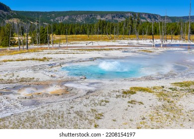 Yellowstone National Park Water Geyser	