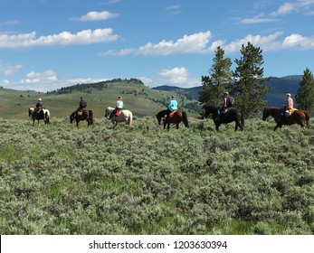 Yellowstone National Park, Wyoming USA June 16 2018. Horseback Riding On A Trail In The Yellowstone Park.