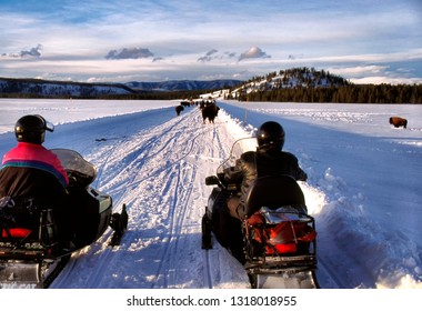 Yellowstone National Park, Wyoming, USA, Snowmobiles stop for bison, February 2, 2000
