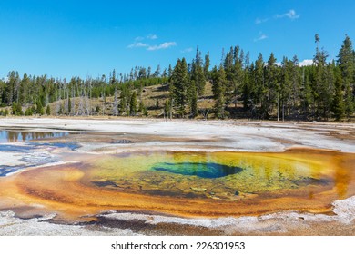 Yellowstone Park