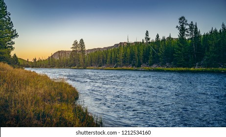 Yellowstone River Nature