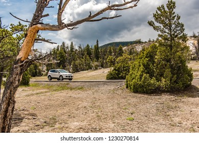 Yellowstone Road Trip