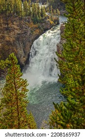 Yellowstone Waterfall Pine Tree Spray